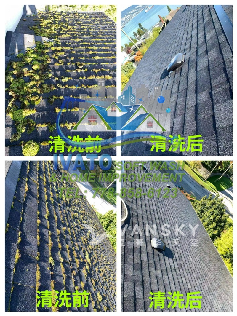 221101225712_01- Roof  Cleaning 06.3.jpg